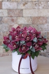 Cymbidium Orkide